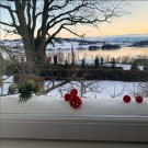 Vindusvatt pyntet til jul. Foto: Ingebjørg Bjorvand Hillestad, instagram: @brokshaugen thumbnail
